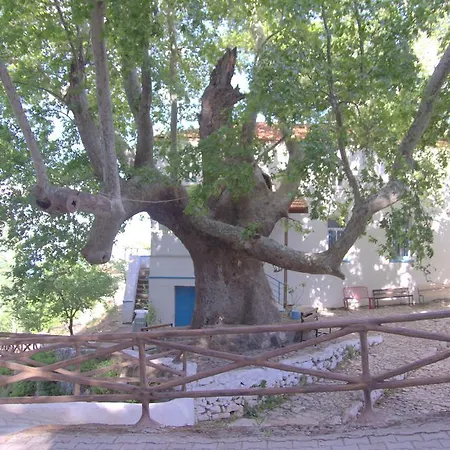 Ξενοδοχείο Uezuem Iskelesi Butik *