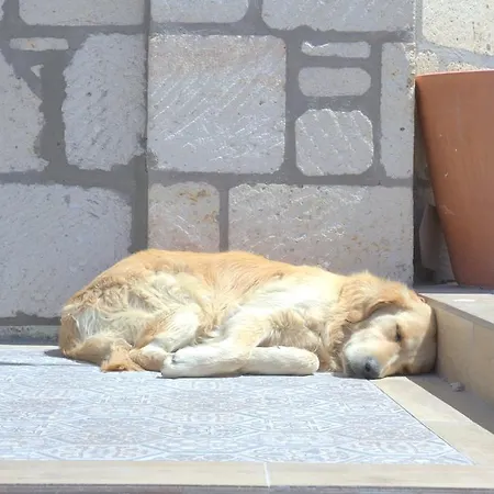 Uzum Iskelesi Butik Mordogan