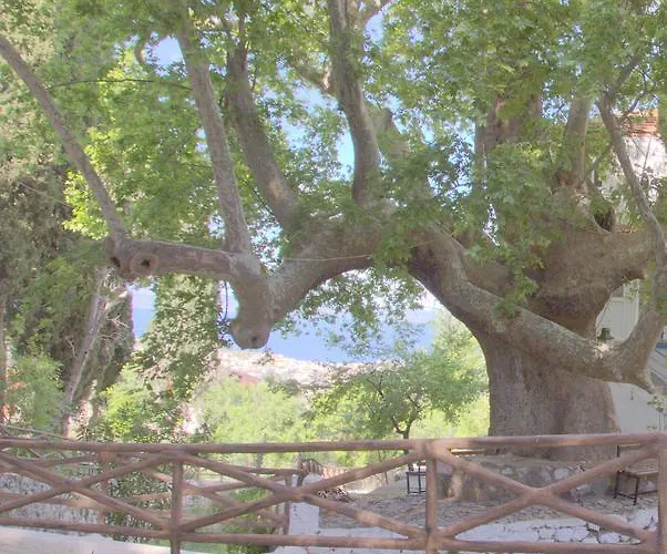 Hotel Uzum Iskelesi Butik *