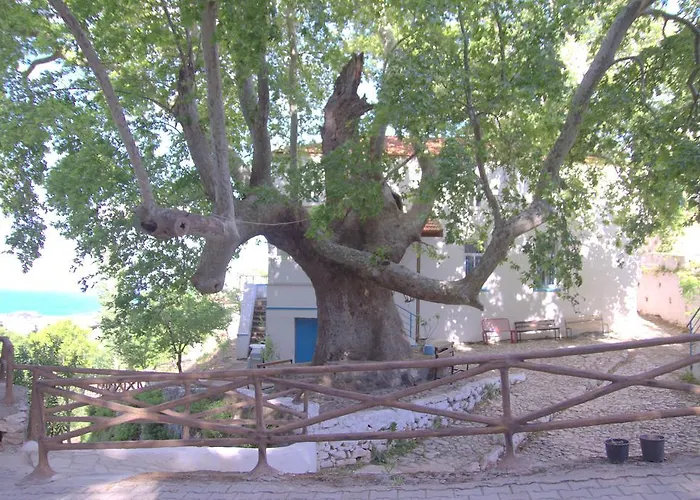 Hotel Uzum Iskelesi Butik *