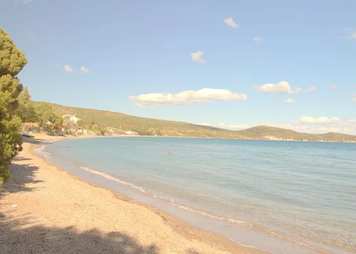 Hotel Uzum Iskelesi Butik Mordogan